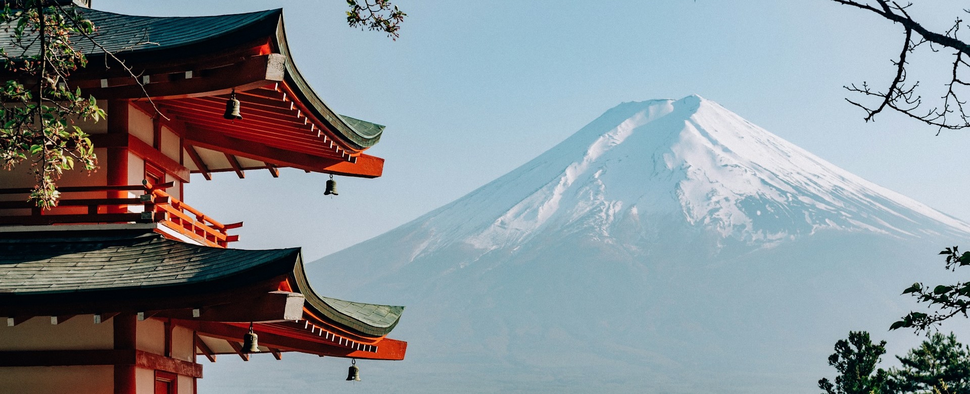 日本贸易平台 · 轻松掌控贸易的每一个环节